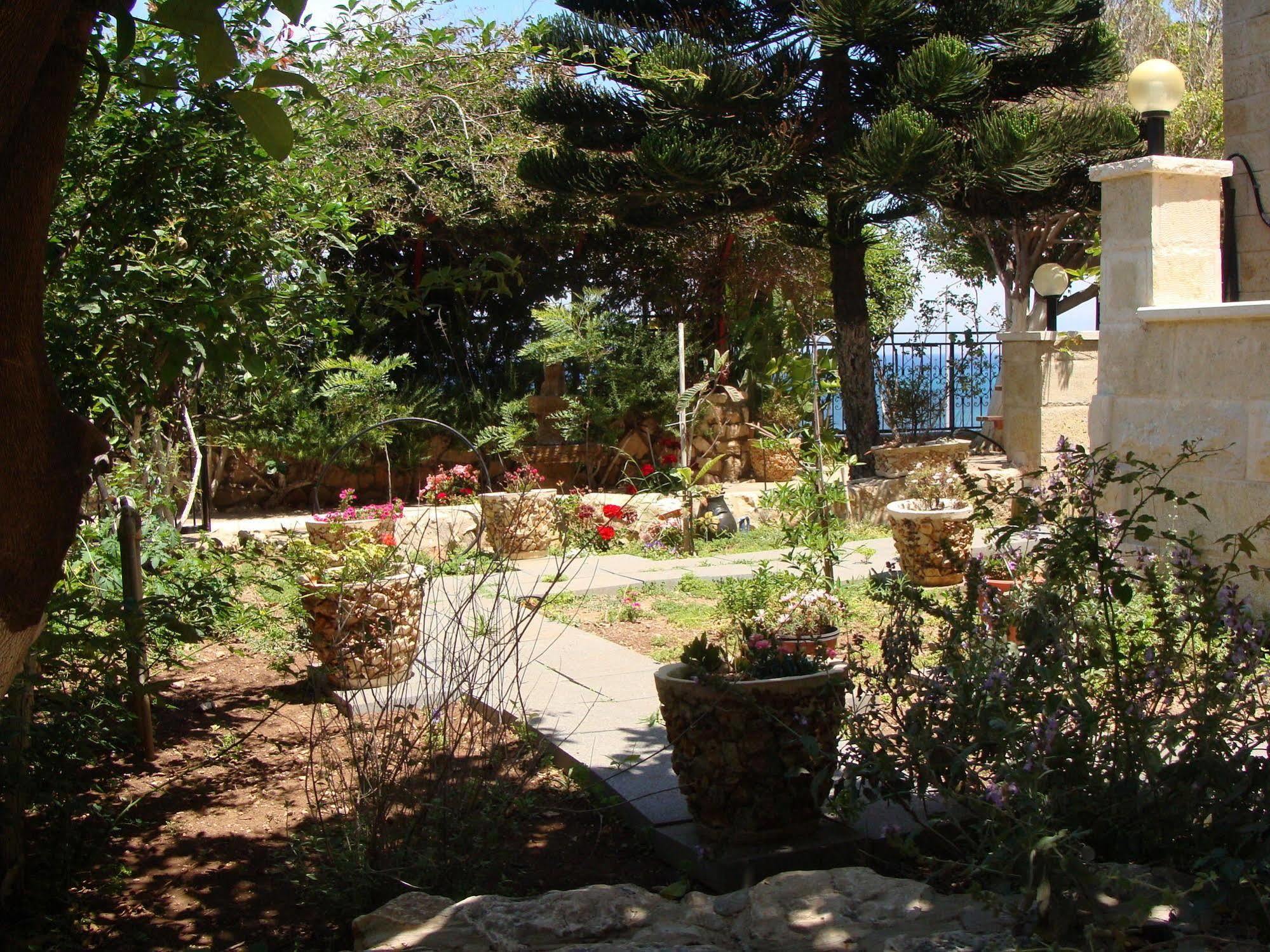 Tamer Guest House Χάιφα Εξωτερικό φωτογραφία