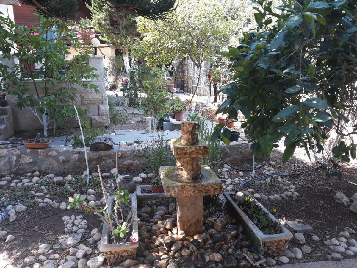 Tamer Guest House Χάιφα Εξωτερικό φωτογραφία